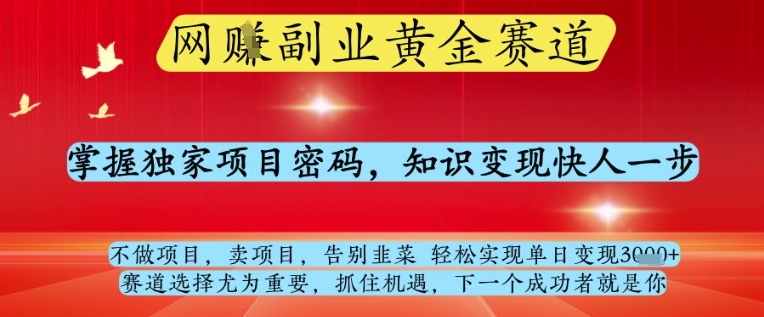 网创副业黄全赛道，掌握独家项目密码，知识变现快人一步，告别韭菜轻松实现单日变现1k+【揭秘】-梦遥资源网