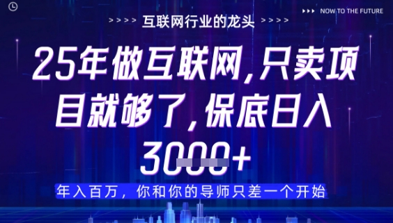 什么！25年你还在找项目做？风口早就变了，卖项目才是稳挣不赔【揭秘】-梦遥资源网