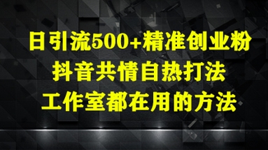 日引流500+精准创业粉，抖音共情自热打法，工作室都在用的方法-梦遥资源网