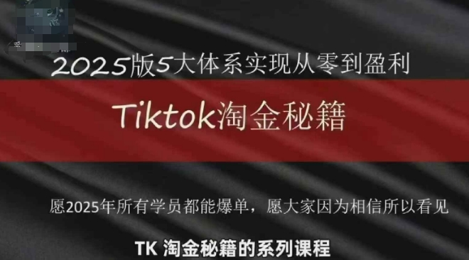 TikTok跨境2025淘金秘籍，​2025TikTok从0到盈利变现-梦遥资源网