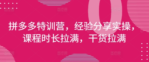 拼多多特训营，经验分享实操，课程时长拉满，干货拉满(更新25年4月)-梦遥资源网