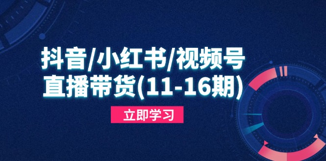 抖音/小红书/视频号/直播带货(11-梦遥资源网