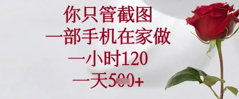 你只管截图，一部手机在家可以做，一小时120.一天5张+【揭秘】-梦遥资源网